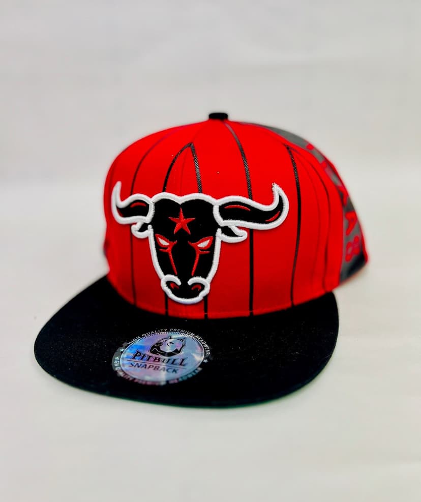 Product image of Texas Bull Snapback